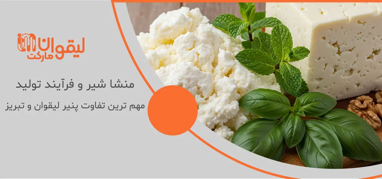 منشا شیر و فرآیند تولید: مهم ترین تفاوت پنیر لیقوان و تبریز
