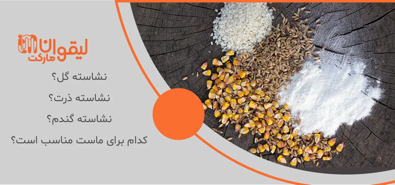 کدام-نشاسته-برای-ماست-مناسب-است کدام-نشاسته-برای-ماست-مناسب-است