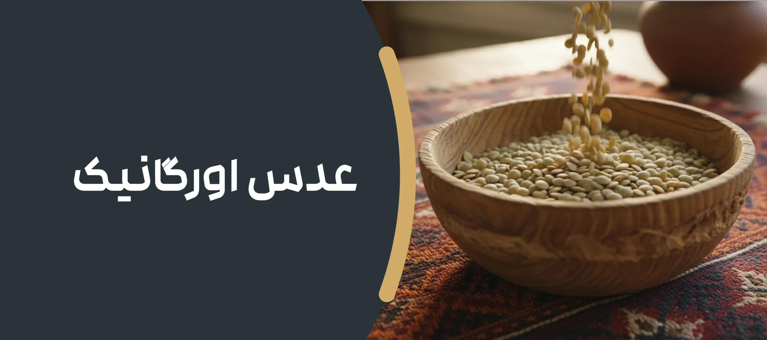 عدس اورگانیک کشت دیم 500 گرمی 1 عدس اورگانیک