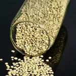 عدس اورگانیک کشت دیم 500 گرمی - تصویر 2